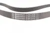 Ремень генератора MB C-class (W203) 00-02/E-class (W212) 11-15/S-class (W221) 11-13/Sprinter 2.9 CONTINENTAL 6PK2135 (фото 2)