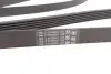 Ремень генератора MB C-class (W203) 00-02/E-class (W212) 11-15/S-class (W221) 11-13/Sprinter 2.9 CONTINENTAL 6PK2135 (фото 3)