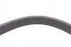Ремень генератора MB C-class (W203) 00-02/E-class (W212) 11-15/S-class (W221) 11-13/Sprinter 2.9 CONTINENTAL 6PK2135 (фото 4)