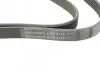 Ремень генератора VW LT 2.5TDI 96-06/Jeep Cherokee/Wrangler 2.4 01-08/BMW 5 (F10/F07/F11) 3.0D 10-17 CONTINENTAL 6PK2145 (фото 4)