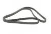 Ремень генератора VW LT 2.5TDI 96-06/Jeep Cherokee/Wrangler 2.4 01-08/BMW 5 (F10/F07/F11) 3.0D 10-17 CONTINENTAL 6PK2145 (фото 5)