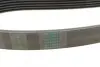 Ремінь генератора MB C-class (W202/W204)/E-class (W210/W212)/S-class (W221) 1.8/2.2 94-14 CONTINENTAL 6PK2155 (фото 3)