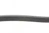 Ремень генератора MB C-class (W203) 00-08 CONTINENTAL 6PK2190 (фото 2)