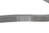 Ремень генератора MB C-class (W203) 00-08 CONTINENTAL 6PK2190 (фото 3)