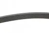 Ремінь генератора VW T4 2.5TDI/LT 2.3 96-06/MB C-class (W204) 3.5 11-/V-class (W639) 2.2CDI 10- CONTINENTAL 6PK2215 (фото 2)