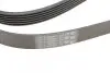 Ремінь генератора VW T4 2.5TDI/LT 2.3 96-06/MB C-class (W204) 3.5 11-/V-class (W639) 2.2CDI 10- CONTINENTAL 6PK2215 (фото 3)
