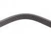 Ремінь генератора VW T4 2.5 90-03/Ford Fiesta/Mondeo 1.8/2.0 00-08/Jeep Cherokee 3.7 01-08 CONTINENTAL 6PK2225 (фото 3)