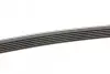 Ремінь генератора Mazda 6 2.3 02-07/CX-7 2.5MZR 09-13/Jaguar XF/XJ 3.0D 09-/Saab 900 II 2.5 93-98 CONTINENTAL 6PK2310 (фото 2)