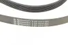 Ремінь генератора Mazda 6 2.3 02-07/CX-7 2.5MZR 09-13/Jaguar XF/XJ 3.0D 09-/Saab 900 II 2.5 93-98 CONTINENTAL 6PK2310 (фото 3)