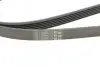 Ремінь генератора Mazda 6 2.3 02-07/CX-7 2.5MZR 09-13/Jaguar XF/XJ 3.0D 09-/Saab 900 II 2.5 93-98 CONTINENTAL 6PK2310 (фото 4)