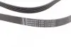 Ремень генератора MB W202/210 M112/113 97- (WP,PS) CONTINENTAL 6PK2315 (фото 2)