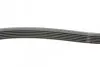 Ремінь генератора MB W124/S124 M104 -96 CONTINENTAL 6PK2330 (фото 2)