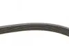 Ремень поликлиновой MERCEDES-BENZ S-CLASS (W220) S 350 06/03-08/05 CONTINENTAL 6PK2380 (фото 2)