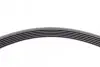 Ремінь генератора MB S-class (W221/W222)/E-class (W212) 4.7-5.5 11-17/Porsche Macan 3.0-3.6 14- CONTINENTAL 6PK2528 (фото 4)