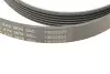 Ремінь генератора Jeep Cherokee/Liberty 2.5CRD/2.8 CRD 01- CONTINENTAL 6PK2870 (фото 5)