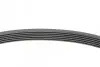 Поликлиновой ремень CONTINENTAL 6PK701 ELAST (фото 2)