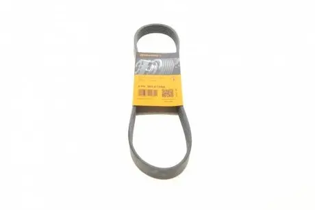 Поклиновий ремень CONTINENTAL 6PK802EXTRA
