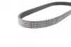 Ремень генератора 6PK875 Jumper/Boxer 2.0/2.2HDi 06.04- (-AC)/Movano 2.5D CONTINENTAL 6PK873ELAST (фото 2)