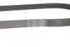 Ремень генератора 6PK875 Jumper/Boxer 2.0/2.2HDi 06.04- (-AC)/Movano 2.5D CONTINENTAL 6PK873ELAST (фото 3)
