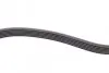 Ремінь генератора VW Caddy/Golf/Skoda Octavia 1.6/2.0 04-15/Fiat Ducato 2.5TDI 94-02/Scudo 1.6 96-06 CONTINENTAL 6PK900 (фото 3)