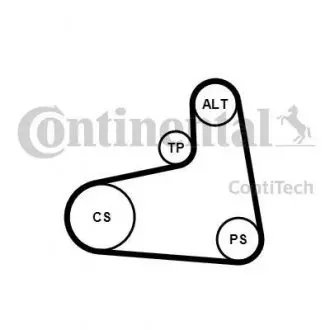 Комплект поліклінового ременя (з роликами) AUDI A3; SEAT CORDOBA, CORDOBA VARIO, IBIZA II, LEON; SKODA OCTAVIA I, OCTAVIA I/KOMBI; VW BORA I, GOLF IV, POLO, POLO III CLASSIC 1.9D 09.96-03.10 CONTINENTAL 6PK906K3