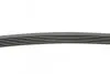 Ремень генератора Peugeot Partner/307/508 02-/Citroen Berlingo/C2/C3/C4/C5 1.6 HDi 04- CONTINENTAL 6PK976 (фото 2)