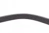 Комплект ременя генератора Ford Focus/Fiesta/Fusion 1.4/1.6TDCi 03-/Mazda 3 1.6 DI 04-13 CONTINENTAL 6PK976K1 (фото 10)