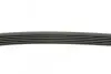 Ремінь генератора BMW 1 (F20/F21)/3 (F30/F80) 1.6i 11-/Honda Civic VII/FR-V 1.7i 01- CONTINENTAL 6PK986 (фото 2)