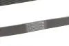 Ремінь генератора Nissan Qashqai 1.6 07-13/Toyota Land Cruiser Prado 3.0D 02-09 CONTINENTAL 7PK1153 (фото 3)