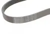 Ремінь генератора Nissan Qashqai 1.6 07-13/Toyota Land Cruiser Prado 3.0D 02-09 CONTINENTAL 7PK1153 (фото 4)
