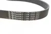 Ремінь генератора Iveco 2.3JTD/Renault Trafic III 1.6dCi 14- ALT, (-AC) CONTINENTAL 7PK1325 (фото 2)