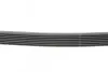 Ремень генератора BMW 5 (E39/G30/F90)/7 (E38/F01/F02/F03/F04) 3.5-6.0 96- CONTINENTAL 7PK1629 (фото 2)