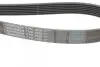 Ремень генератора BMW 5 (E39/G30/F90)/7 (E38/F01/F02/F03/F04) 3.5-6.0 96- CONTINENTAL 7PK1629 (фото 3)