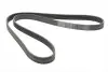 Ремень генератора BMW 5 (E39/G30/F90)/7 (E38/F01/F02/F03/F04) 3.5-6.0 96- CONTINENTAL 7PK1629 (фото 4)