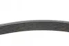 Ремень генератора BMW 5 (E39/F10)/7 (E38) 3.5i/4.0i 96-03 CONTINENTAL 7PK1635 (фото 2)