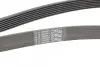 Ремень генератора BMW 5 (E39/F10)/7 (E38) 3.5i/4.0i 96-03 CONTINENTAL 7PK1635 (фото 3)