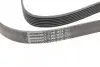 Ремень генератора BMW 5 (E39/F10)/7 (E38) 3.5i/4.0i 96-03 CONTINENTAL 7PK1635 (фото 4)
