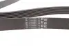 Ремінь генератора BMW X5 (E70) 4.8i 07-08/Renault Master/Opel Movano 2.3 dCi/CDTI 10- CONTINENTAL 7PK1666 (фото 2)