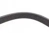 Ремень генератора BMW 7 (E65/E66/E67) 4.0/4.5D 02-08/Honda Accord 2.0 03-08 CONTINENTAL 7PK1760 (фото 3)