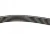 Ремень генератора Renault Megane/Scenic 1.4 09-/Honda Accord/CR-V 2.2 i-CTDi 04- CONTINENTAL 7PK1785 (фото 2)