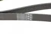 Ремень генератора Renault Megane/Scenic 1.4 09-/Honda Accord/CR-V 2.2 i-CTDi 04- CONTINENTAL 7PK1785 (фото 4)