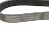 Ремінь генератора Land Rover Discovery/Range Rover 2.5 Td5/3.9-4.6 93-04 CONTINENTAL 7PK1867 (фото 4)