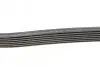 Ремінь генератора Toyota Camry/Avensis/RAV4 2.0/2.4 00-/Land Cruiser Prado 3.0D 00- CONTINENTAL 7PK1933 (фото 2)