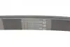 Ремінь генератора Toyota Camry/Avensis/RAV4 2.0/2.4 00-/Land Cruiser Prado 3.0D 00- CONTINENTAL 7PK1933 (фото 3)