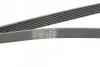 Ремінь генератора Toyota Camry/Land Rover 3.5i/4.0/4.6 81- CONTINENTAL 7PK2090 (фото 3)