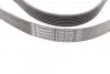 Ремінь генератора Land Rover Range Rover/Toyota Land Cruiser 120 4.0i/4.6 94-10 CONTINENTAL 7PK2120 (фото 2)