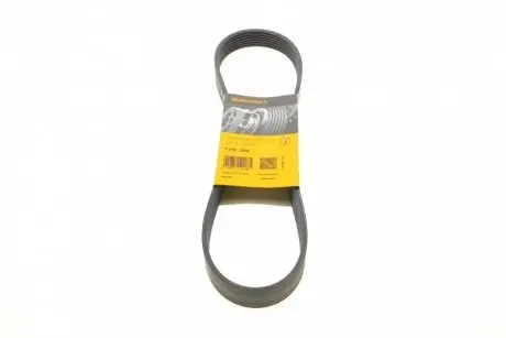 Ремінь поліклиновий CONTINENTAL 7PK880