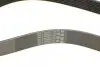 Ремінь генератора BMW 3 (F30/F80)/5 (F10)/ X5 (F15/F85)/ X6 (F16/F86) 13- CONTINENTAL 8PK1390 (фото 4)