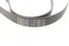 Ремінь генератора Land Rover Range Rover Sport 05-13/Discovery 2.7D 04- CONTINENTAL 8PK2092 (фото 3)