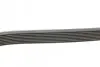 Полікліновий ремінь MERCEDES-BENZ W140 300 SE 03/91-10/98 CONTINENTAL 8PK2440 (фото 2)